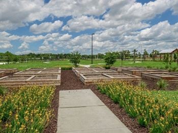 Community garden